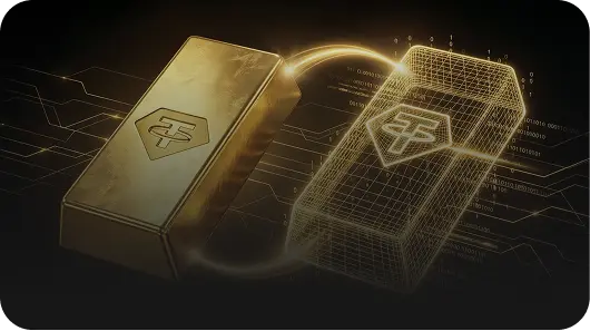 Direct gold Exposure